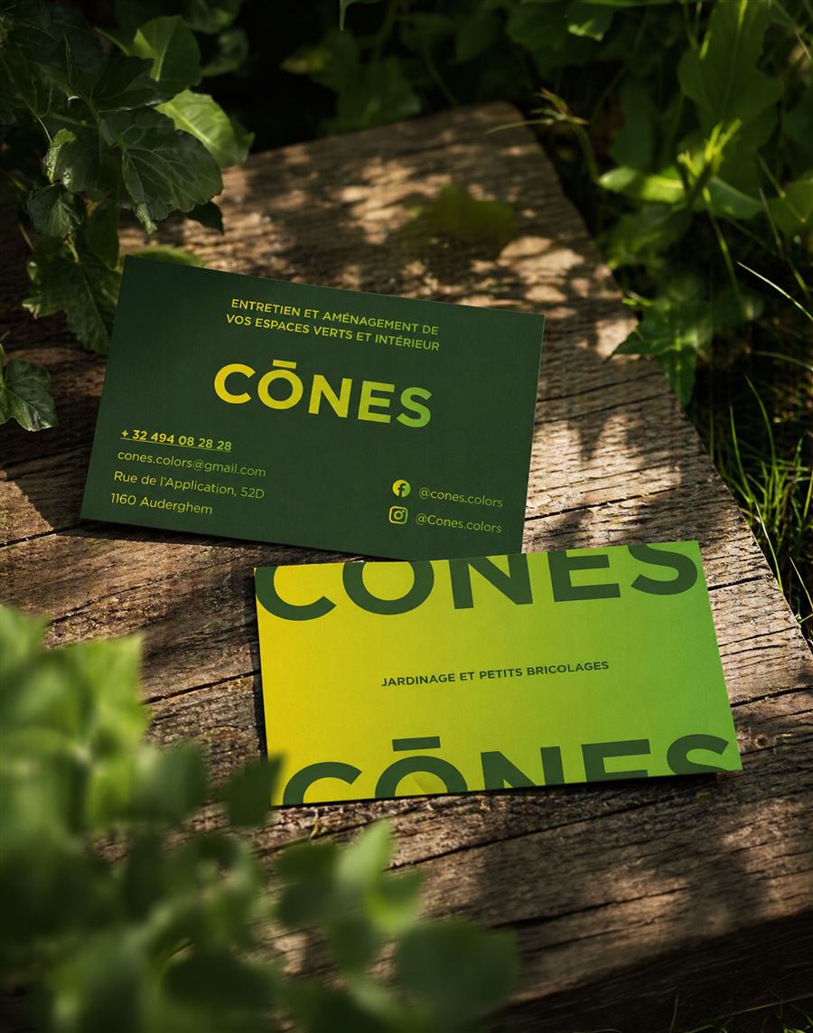 Cônes — Cartes de visite